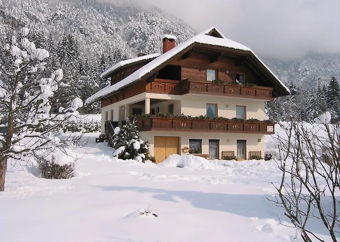 Apartment Haus Assinger *